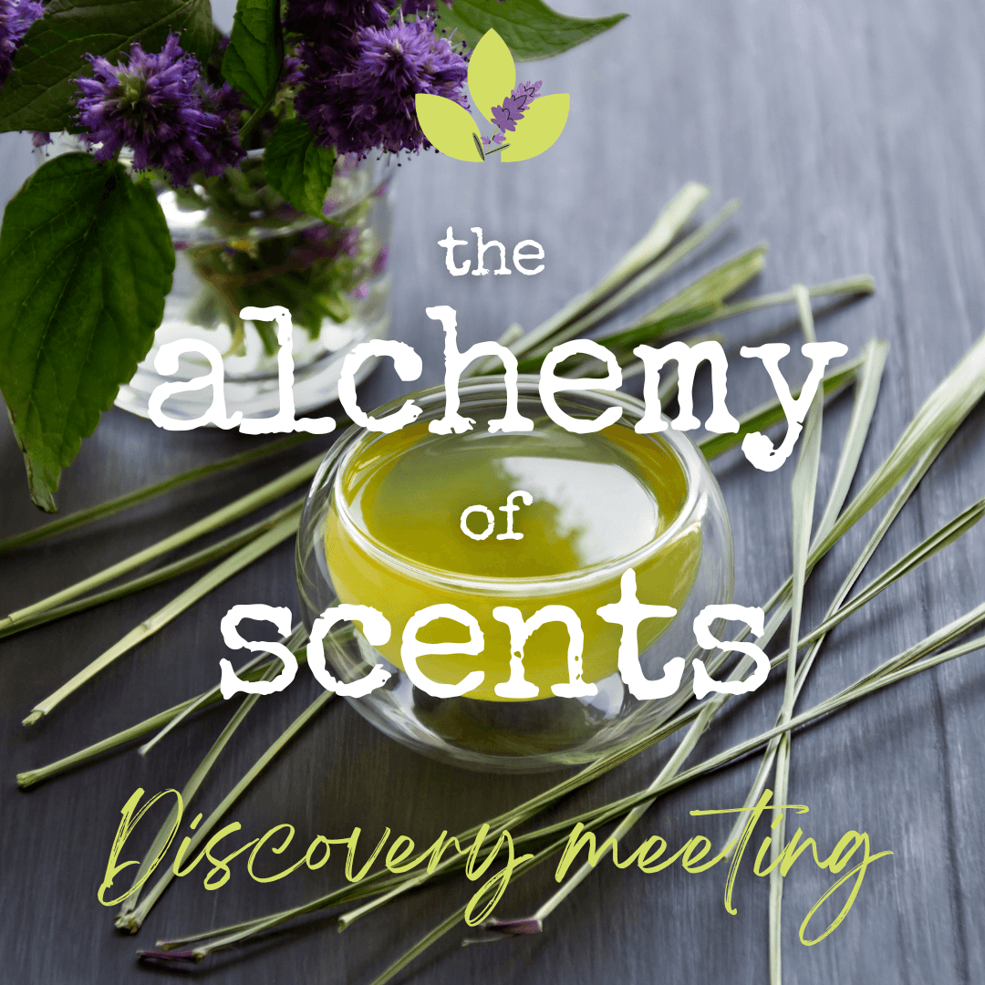 alchemy of scents workshop