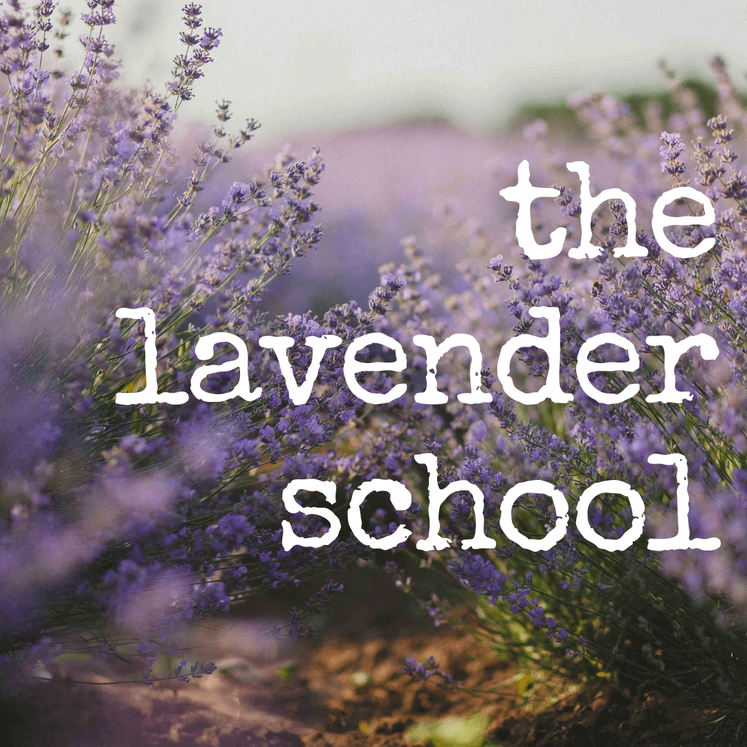 the lavender school