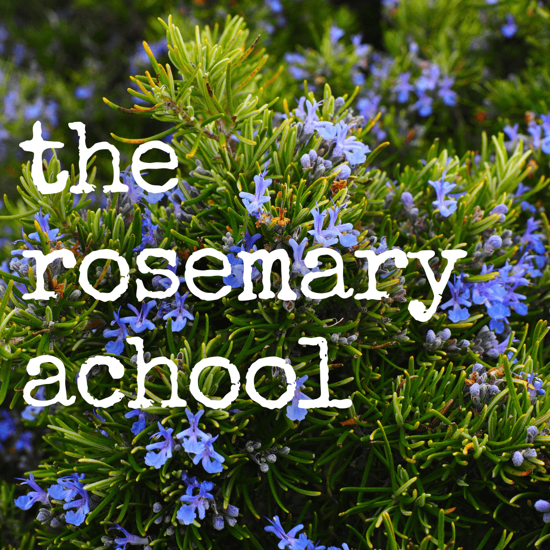 the rosemary school